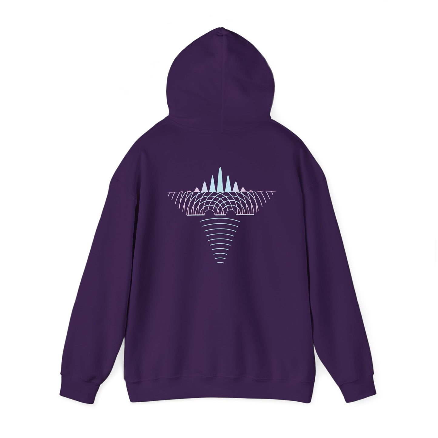 Double Slit Experiment Hoodie