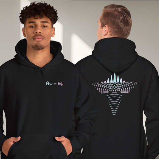 Double Slit Experiment Hoodie